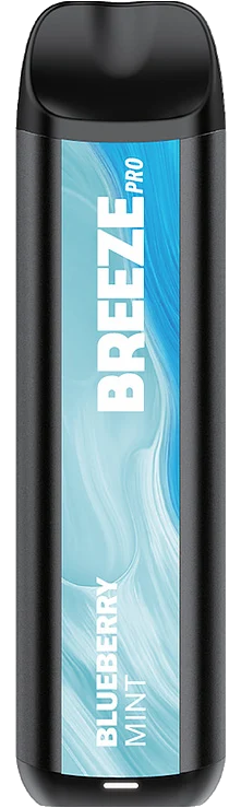 Blueberry Mint